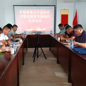 市電力行業(yè)協(xié)會(huì)學(xué)黨史教育專題組織生活會(huì)召開(kāi)