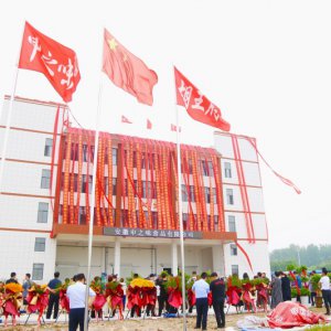 安徽胡王府：預(yù)制菜產(chǎn)業(yè)新生力量，助推鄉(xiāng)村振興