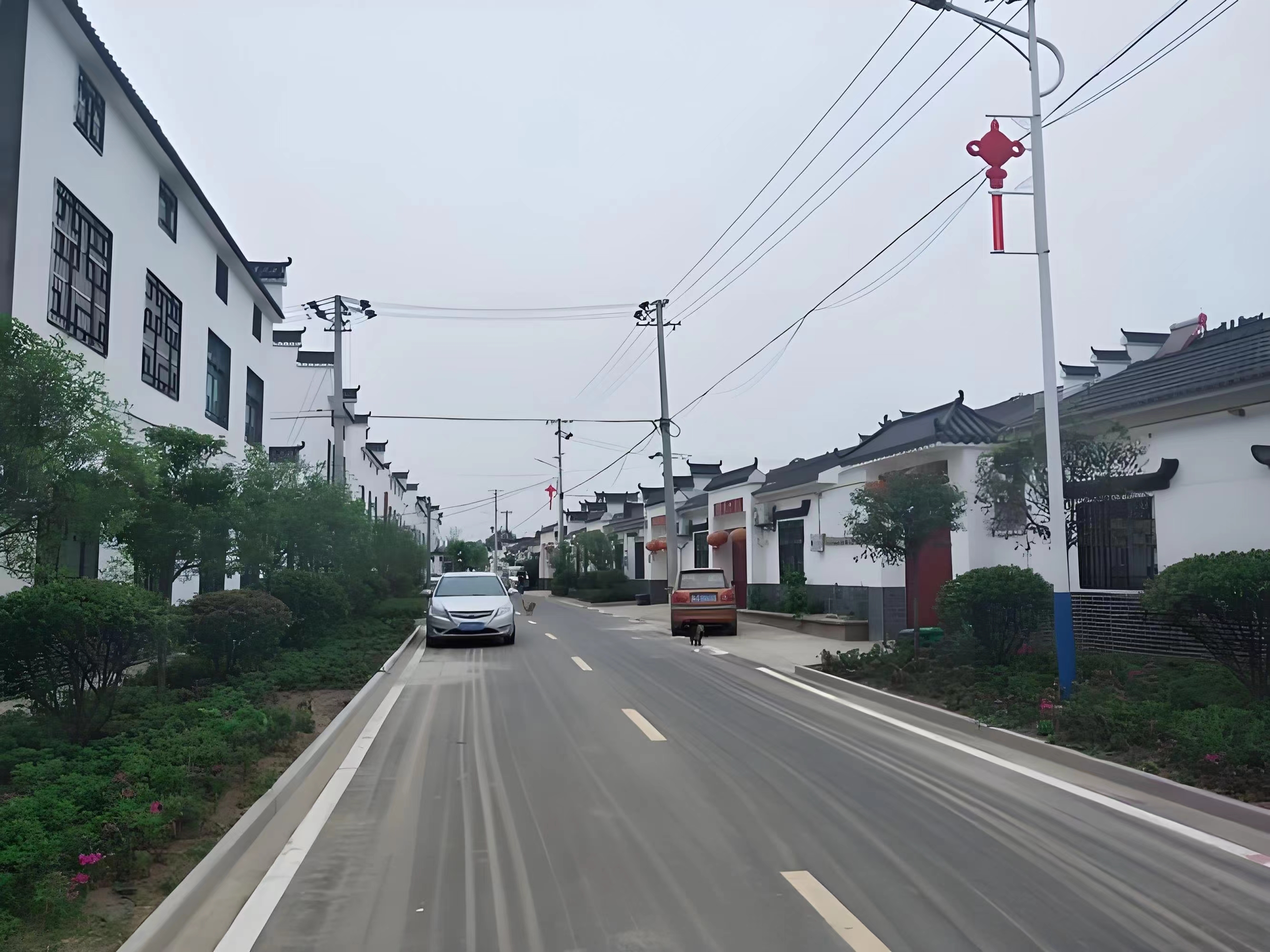 傳承紅色基因，續(xù)寫潁上黃壩發(fā)展新篇章
