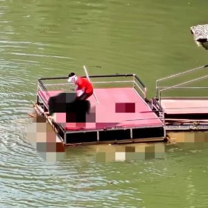 馬上評(píng)｜蹦極不是玩命，景區(qū)安全之繩絲毫松不得